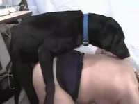 [ Bestiality Movie ] My doggy is so lustful